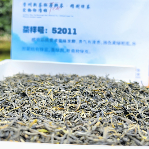 贵州绿茶