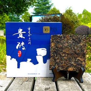 舞动的雪花