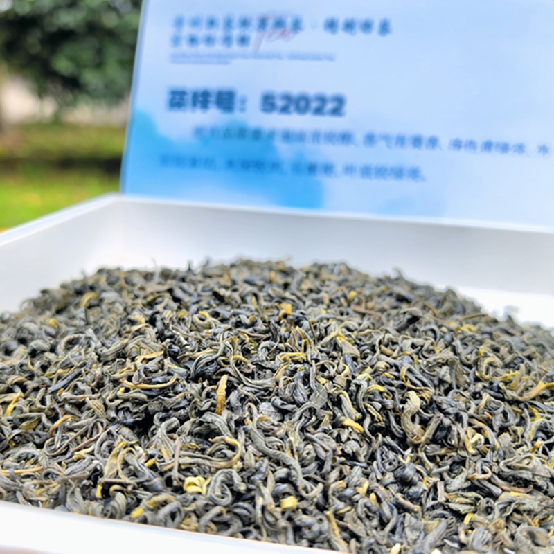 烘焙绿茶