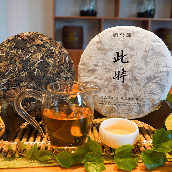 慈氏白茶饼