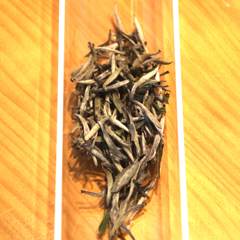 银针白茶